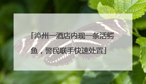 漳州一酒店内现一条活鳄鱼，警民联手快速处置