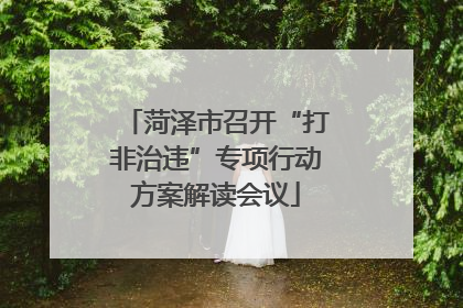 菏泽市召开“打非治违”专项行动方案解读会议
