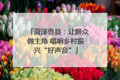 菏泽曹县：让群众做主角 唱响乡村振兴“好声音”