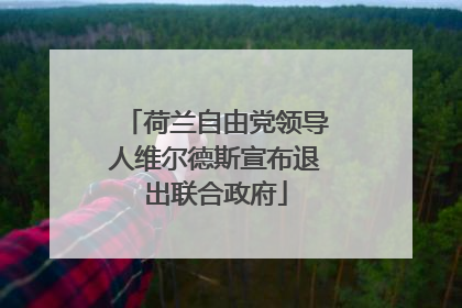 荷兰自由党领导人维尔德斯宣布退出联合政府