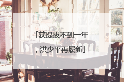 获提拔不到一年，洪少平再履新