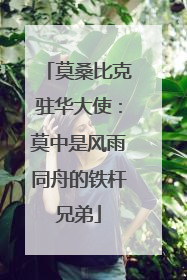 莫桑比克驻华大使：莫中是风雨同舟的铁杆兄弟