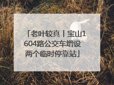 老叶较真丨宝山1604路公交车增设两个临时停靠站