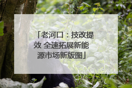 老河口：技改提效 全速拓展新能源市场新版图