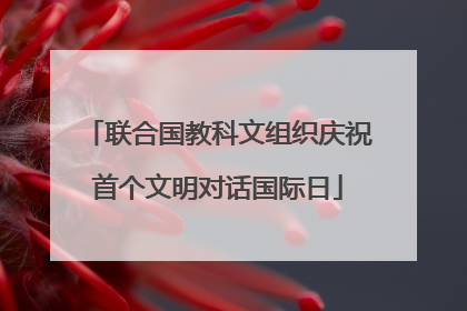 联合国教科文组织庆祝首个文明对话国际日