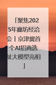 聚焦2025年廊坊经洽会丨京津冀首个AI招商选址大模型亮相