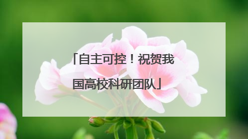 自主可控！祝贺我国高校科研团队