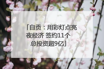 自贡：用彩灯点亮夜经济 签约11个总投资超9亿