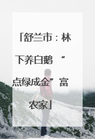 舒兰市：林下养白鹅 “点绿成金”富农家
