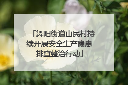 舞阳街道山民村持续开展安全生产隐患排查整治行动