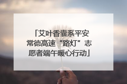 艾叶香囊系平安 常德高速“路灯”志愿者端午暖心行动