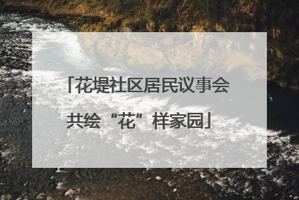 花堤社区居民议事会共绘“花”样家园