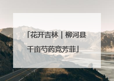 花开吉林｜柳河县千亩芍药竞芳菲