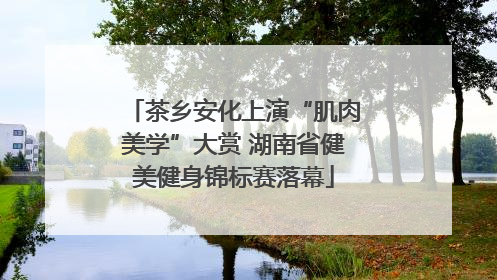 茶乡安化上演“肌肉美学”大赏 湖南省健美健身锦标赛落幕