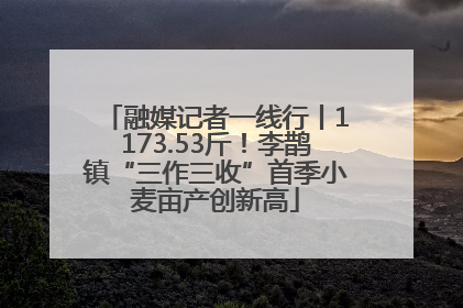 融媒记者一线行丨1173.53斤！李鹊镇“三作三收”首季小麦亩产创新高