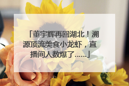 董宇辉再回湖北！溯源顶流美食小龙虾，直播间人数爆了……