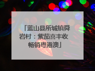 蓝山县所城镇舜岩村：紫茄喜丰收 畅销粤港澳