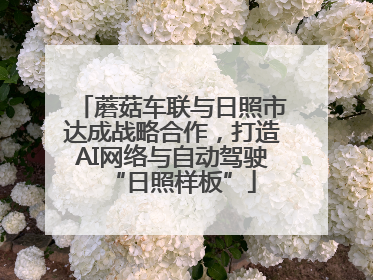 蘑菇车联与日照市达成战略合作，打造AI网络与自动驾驶“日照样板”