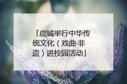 虞城举行中华传统文化（戏曲·非遗）进校园活动