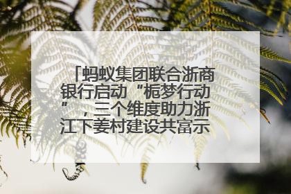 蚂蚁集团联合浙商银行启动“栀梦行动”，三个维度助力浙江下姜村建设共富示范区示范点