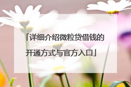 详细介绍微粒贷借钱的开通方式与官方入口