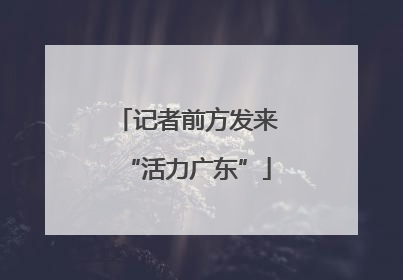 记者前方发来“活力广东”