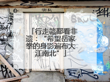 行走赣鄱看非遗：“希望岳家拳的身影遍布大江南北”