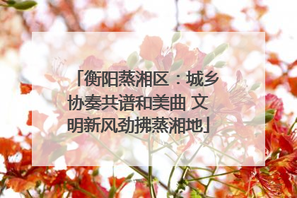 衡阳蒸湘区：城乡协奏共谱和美曲 文明新风劲拂蒸湘地