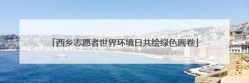 西乡志愿者世界环境日共绘绿色画卷