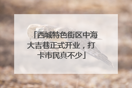 西城特色街区中海大吉巷正式开业，打卡市民真不少
