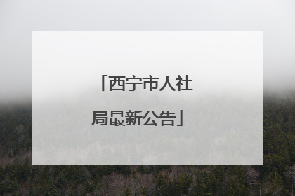 西宁市人社局最新公告