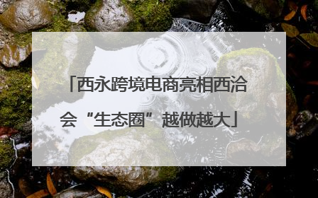 西永跨境电商亮相西洽会“生态圈”越做越大