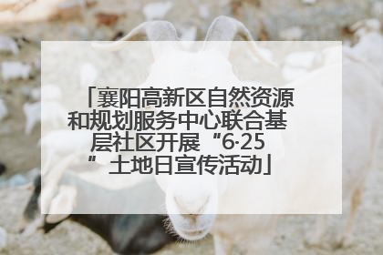 襄阳高新区自然资源和规划服务中心联合基层社区开展“6·25”土地日宣传活动