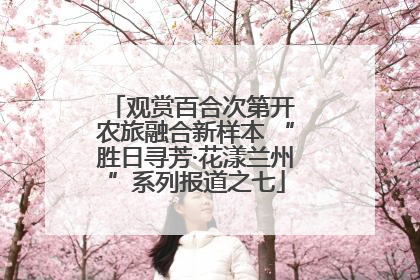 观赏百合次第开 农旅融合新样本 “胜日寻芳·花漾兰州”系列报道之七