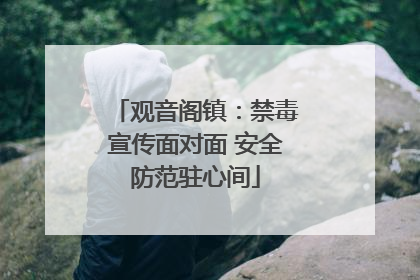 观音阁镇：禁毒宣传面对面 安全防范驻心间