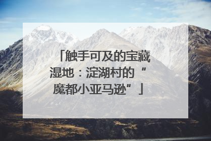 触手可及的宝藏湿地：淀湖村的“魔都小亚马逊”