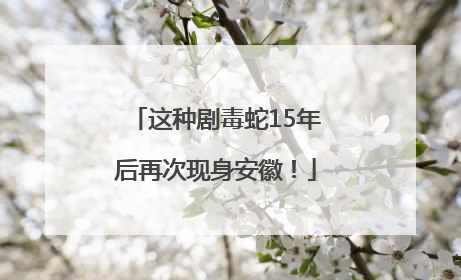 这种剧毒蛇15年后再次现身安徽！