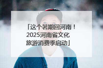 这个暑期回河南！2025河南省文化旅游消费季启动