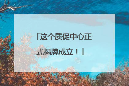 这个质促中心正式揭牌成立！