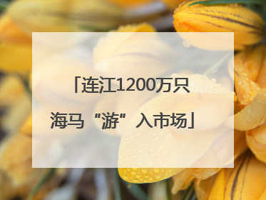 连江1200万只海马“游”入市场