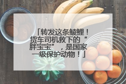 转发这条鲮鲤！货车司机救下的“胖宝宝”，是国家一级保护动物！