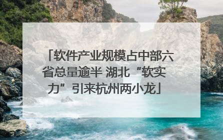 软件产业规模占中部六省总量逾半 湖北“软实力”引来杭州两小龙