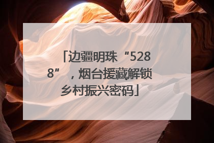 边疆明珠“5288”，烟台援藏解锁乡村振兴密码