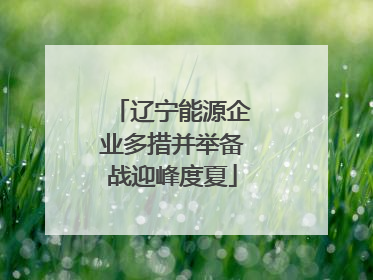 辽宁能源企业多措并举备战迎峰度夏