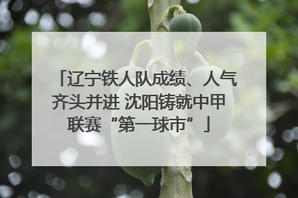 辽宁铁人队成绩、人气齐头并进 沈阳铸就中甲联赛“第一球市”