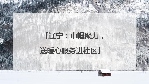 辽宁：巾帼聚力，送暖心服务进社区