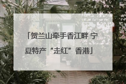 贺兰山牵手香江畔 宁夏特产“走红”香港
