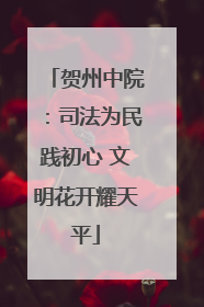 贺州中院：司法为民践初心 文明花开耀天平
