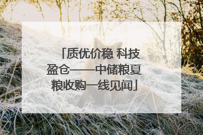 质优价稳 科技盈仓——中储粮夏粮收购一线见闻