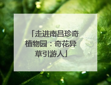 走进南昌珍奇植物园：奇花异草引游人